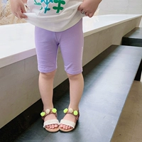 Мелкий фиолетовый