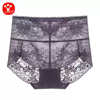 Vibrant tree ladies underwear high waist lace sexy belly hip women cotton antibacterial crotch triangle shorts