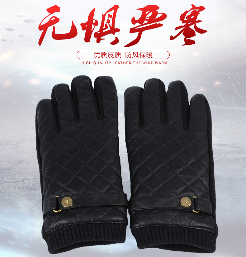 Gants pour homme      en Laine Cachemire - Ref 2782616 Image 18