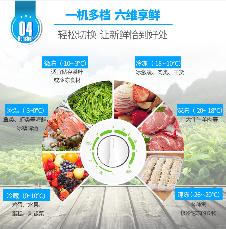 Ronshen / Rongsheng BD / BC-309MD tủ đông đơn nhiệt độ tủ đông nhà buôn lạnh ướp lạnh cửa hàng hàng đầu ngang đông lạnh - Tủ đông tủ trữ sữa