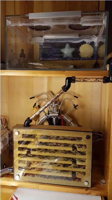 Ice City Ants Boutique Nest Firewall Concrete Nest Ants Nest (nest body) Non-selling products