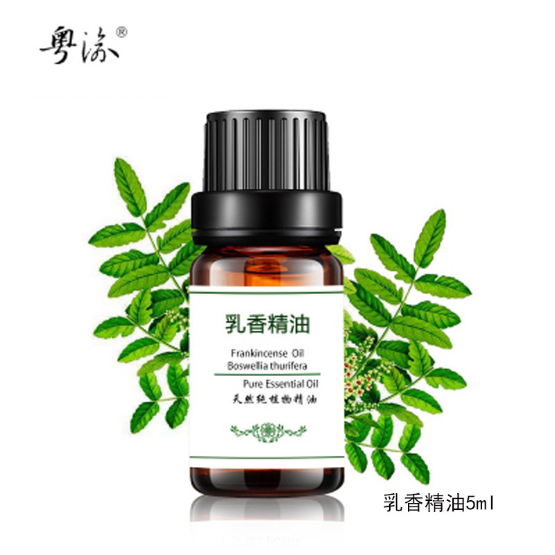 Unilateral frankincense essential oil compact to water down fine grain manufacturer 5ml natural soothing pure plant facial massage