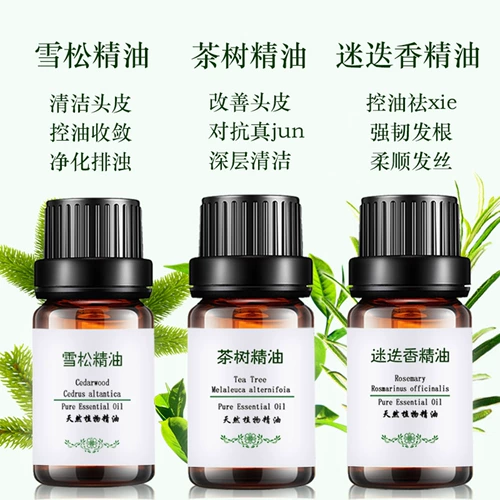 Эссенция чайного дерева с розмарином, натуральное массажное масло для кожи головы, кондиционер, 20 мл, контроль жирного блеска