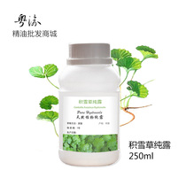 Wild Centella asiatica pure Dew 250ml moisturizing skin care natural facial moisturizing acne shrinkage pores