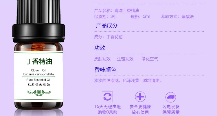 Nhà sản xuất tinh dầu đơn phương chính hãng tinh dầu đinh hương nguyên chất 5ml dầu đinh hương tinh dầu - Tinh dầu điều trị tinh dầu treo xe