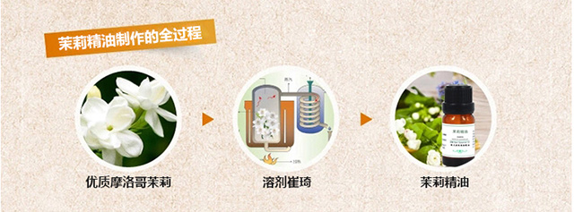 Tinh dầu hoa nhài 10ml nguyên chất Ma-rốc đơn phương làm sáng da Hoa nhài tinh dầu mát xa chính hãng giữ ẩm - Tinh dầu điều trị tinh dầu xông muỗi