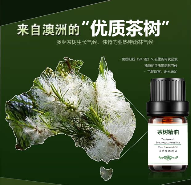 Tinh dầu cây trà đơn Mặt massage da mặt Massage Massage Chính hãng 5ml Trà cây Dầu cây trà 0il - Tinh dầu điều trị dầu bưởi