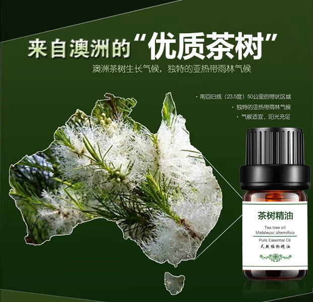 Tinh dầu cây trà đơn Mặt massage da mặt Massage Massage Chính hãng 5ml Trà cây Dầu cây trà 0il - Tinh dầu điều trị