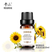 Tinh dầu cơ bản nhà sản xuất dầu massage hoa hướng dương đích thực 10ml dầu nền dưỡng ẩm tự nhiên chăm sóc da - Tinh dầu điều trị