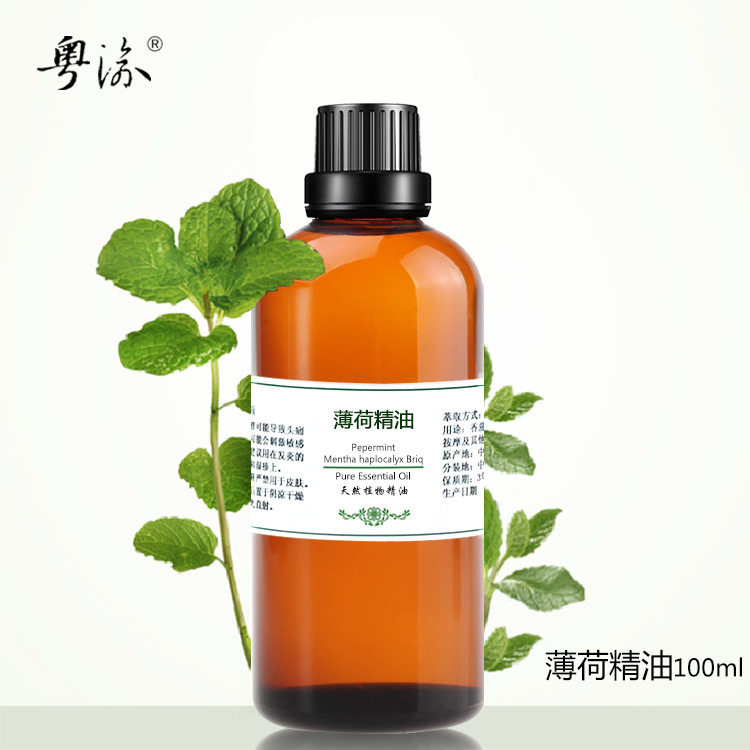 Guangdong Yu American pure mint essential oil 100ml unilaterally imported natural aromatherapy massage facial massage