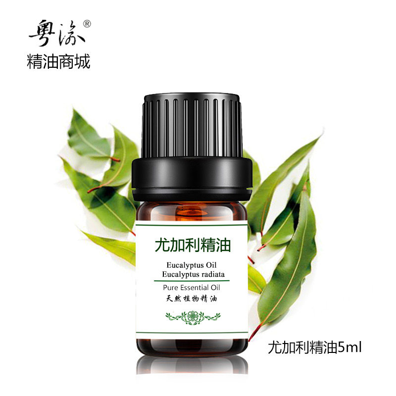 Unilateral Eugali essential oil eucalyptus leaf manufacturer 5ml facial natural incense body nourishing skin moisturizing moisturizing