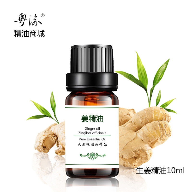 Pure Ginger Essential Oil Old Ginger Oil Unilateral Fever 10ml Bubble Foot Scraping Oil Whole Body Body Meridians Meridians Massage Oil