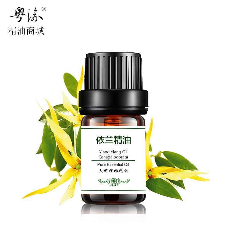 Cantonese Yuyu Unilateral Massage Pure Ylan Essential Oil Facial Moisturizing And Moisturizing Orchid Hair Care 5ml Natural Plant