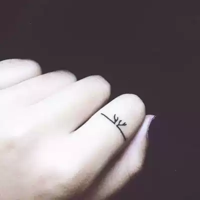 Xinsu orange finger simple personality small pattern tattoo stickers waterproof men and women lasting cute fresh ring stickers