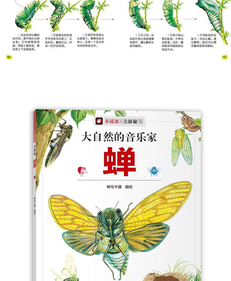 小昆虫大探秘全8册彩图版蚂蚁螳螂蝉蝴蝶蜜蜂蜻蜓揭秘昆虫小百科全书幼儿儿童话故事科普绘本奇妙的昆虫认知书认识昆虫3 4 5 6岁 虎窝淘