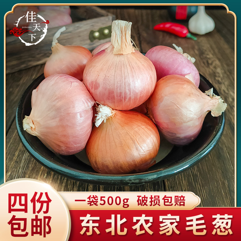 Northeast Teryield small plush green onion farmers self-planted glitter onion and Heilongjiang hair shallot green onion fresh vegetables 500g