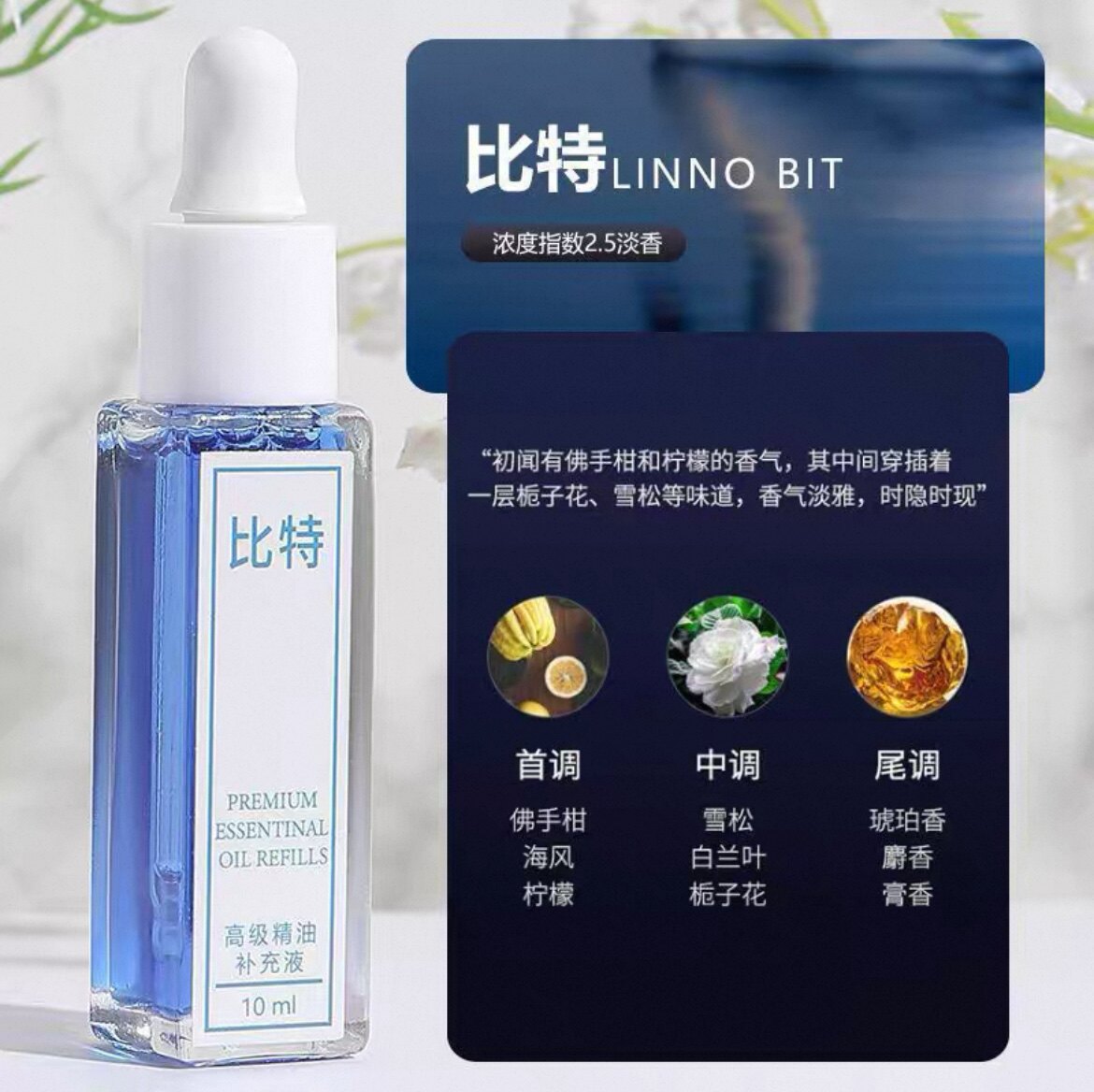 Langlong Refill Liquid Car Air Freshener Essential Oil Pendant 10ml for Car Use, Long-lasting Light Scent Perfume by Bit Logic