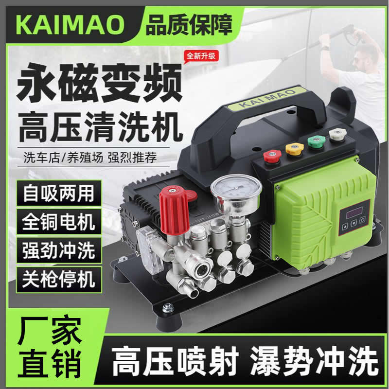 Household and Commercial Portable Stainless Steel Pump Head Permanent Magnet Variable Frequency Car Wash Oil Fume Pipe Cleaning Machine High-Pressure Car Washing Pump