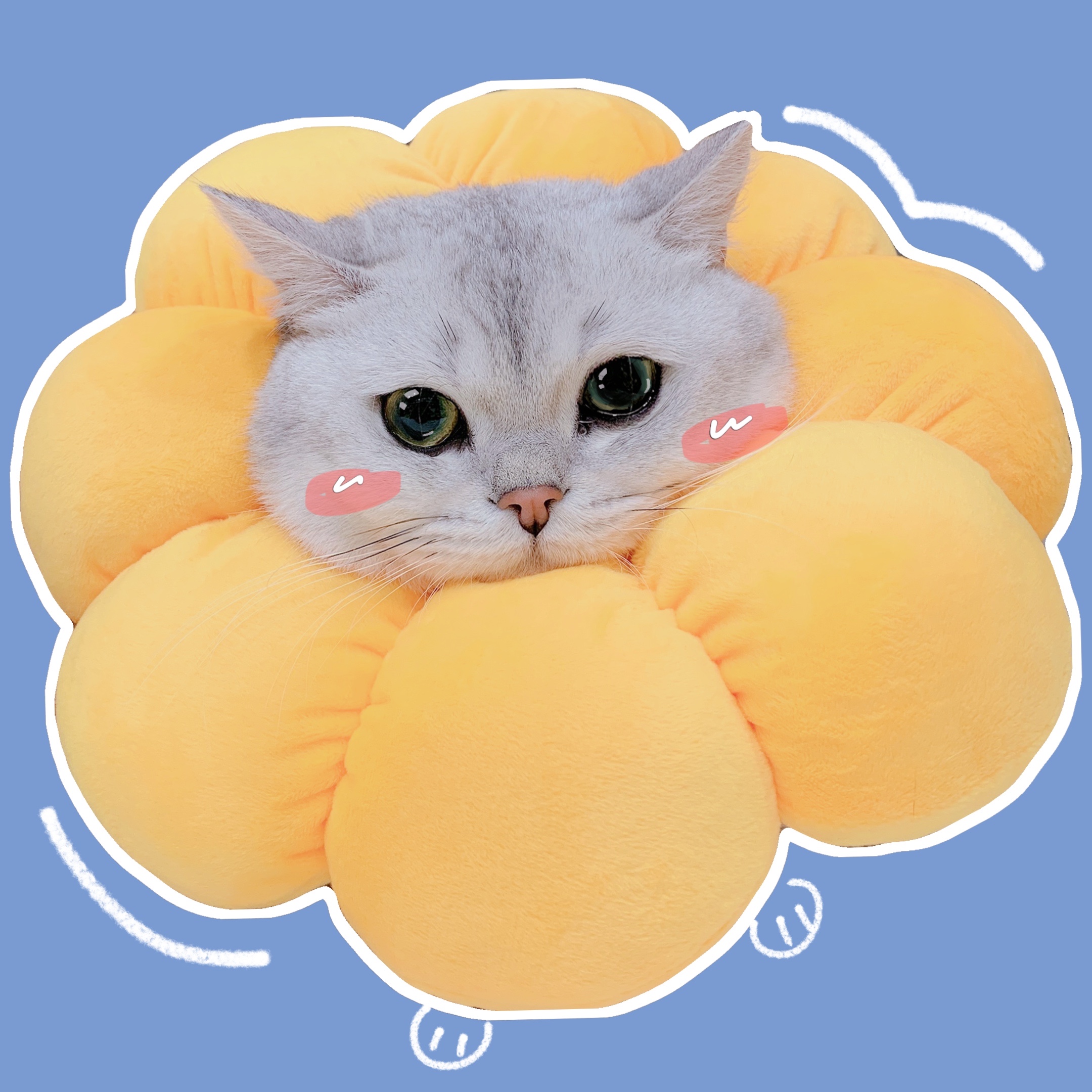 Cat Elizabeth ring anti-grabbing soft sunflower pet puppy sterilization anti-licking neck collar