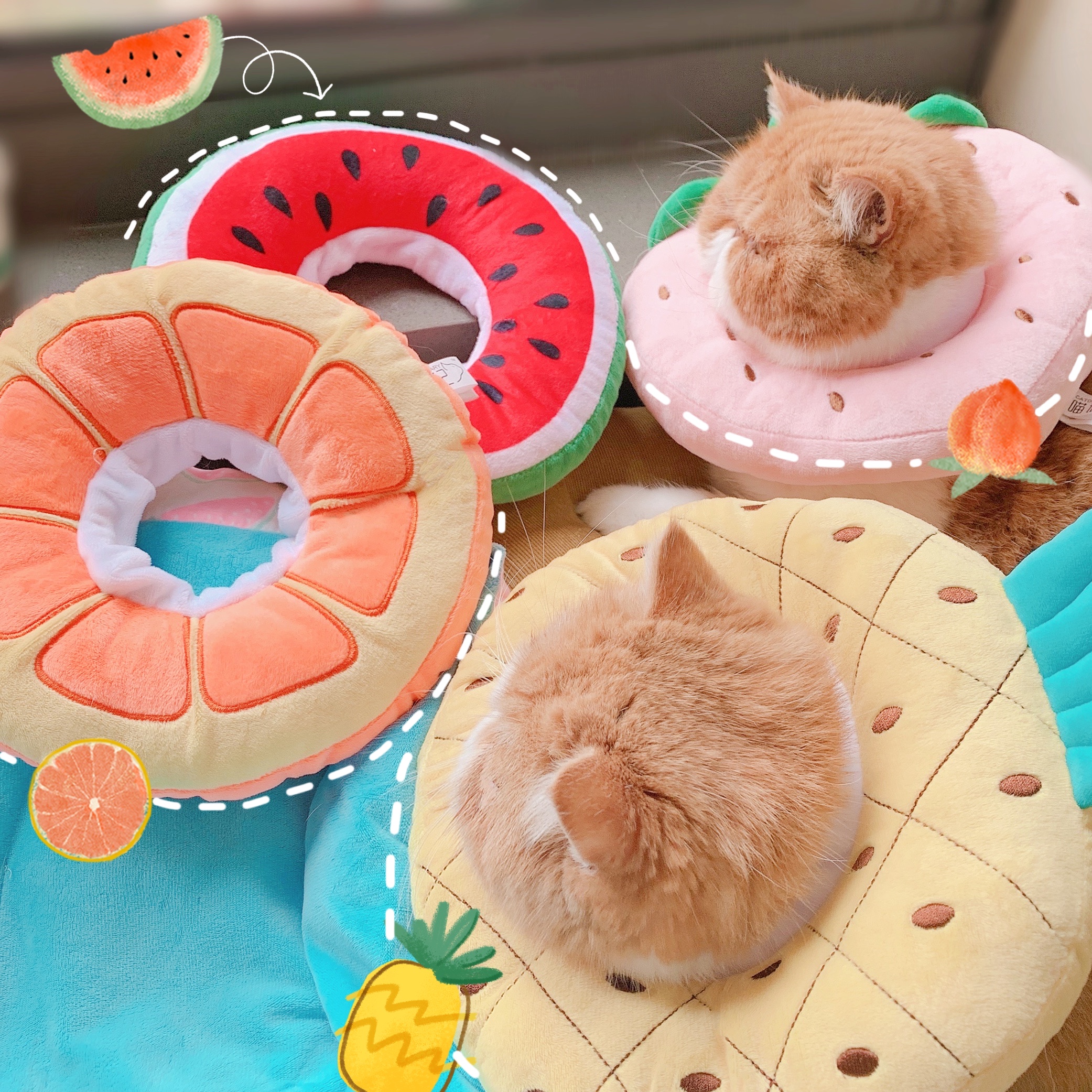 Elizabeth circle cat dog dog soft hood neck anti-licking kitten neuter small pet shame collar