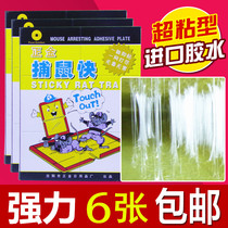 Zhengjin sticky mouse board Super strong mouse paste rat repellent rat exterminator clip mouse glue Mouse cage medicine Household mousetrap