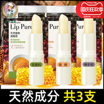 Mandy Lip Balm Women Moisturizing Moisturizing Hydrating Anti-dry Riping Oil Colorless Base Male Flagship Store