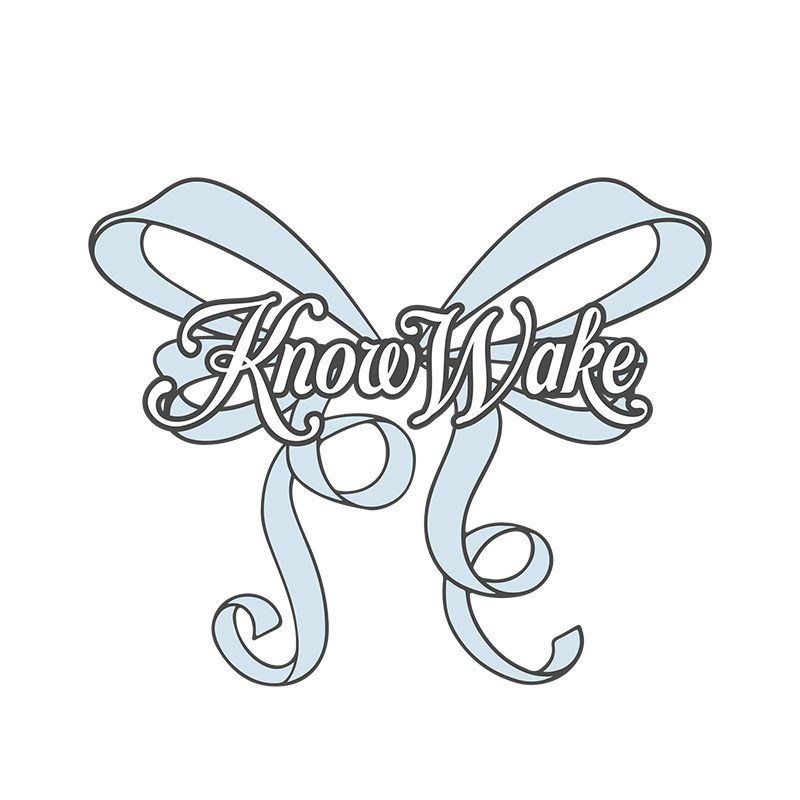 knowwake觉醒意识