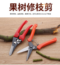 Venus industrial iron scissors long nozzle scissor gardening tool pluck fruit cutting scissors gardening scissors