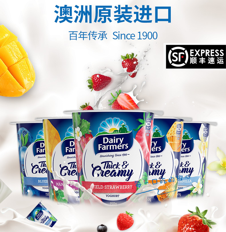Australian imported dairy farmers Aotian Greek yogurt baby one-year-old child pregnant women lactic acid bacteria fruit