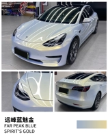 (Национальный пост сумки) Yuanfeng Lan Meijin