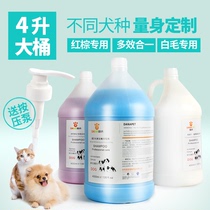  Dona shampoo Shower gel Dog shampoo bath liquid Teddy Bear Golden Retriever Satsuma shampoo 4L large bucket Universal