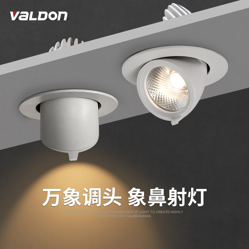 Elephant Snub LED spotlight Home Embedded cob lamp 12w washout wall lamp overhanging ceiling Ceiling Spotlight Clothing Shop Commercial