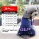 Teddy quần áo mùa xuân và mùa thu quần áo bốn chân áo len Bmeiji Xuenarubi Xiong Yinglun quần áo chó mùa xuân - Quần áo & phụ kiện thú cưng 	áo thun cho mèo
