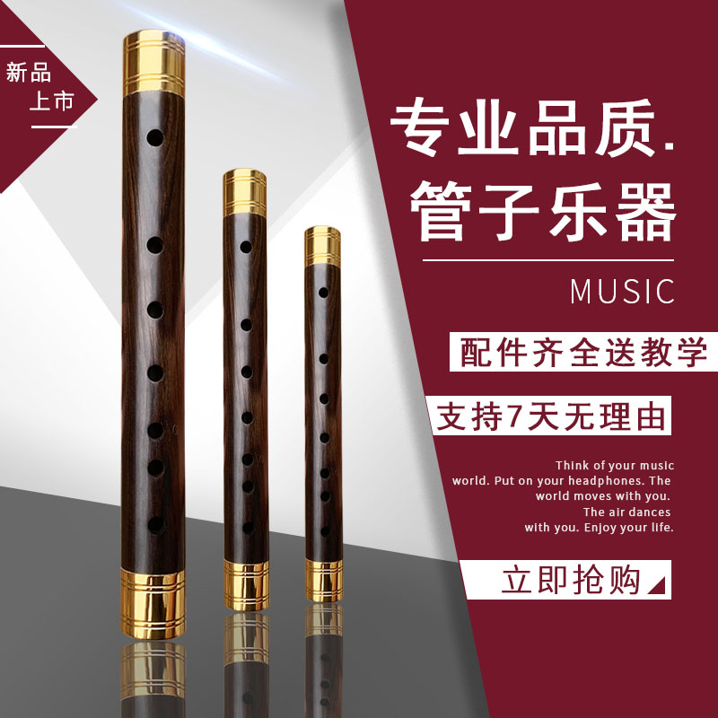 プロのパイプ楽器、金メッキフープ、フォーク管楽器、大人、子供、初心者、ビッグG、催涙ガス管、スモールAデリバリーホイッスル