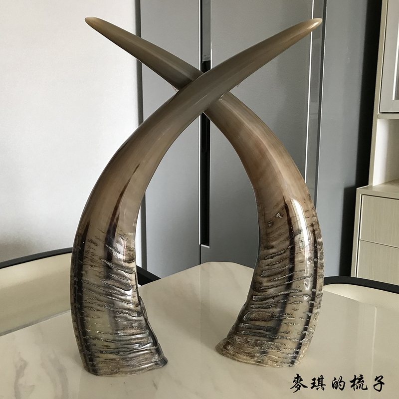 Authentic Natural White Buffalo Horn Ornaments, Handicrafts, Study Room and Entrance Hall Decorations