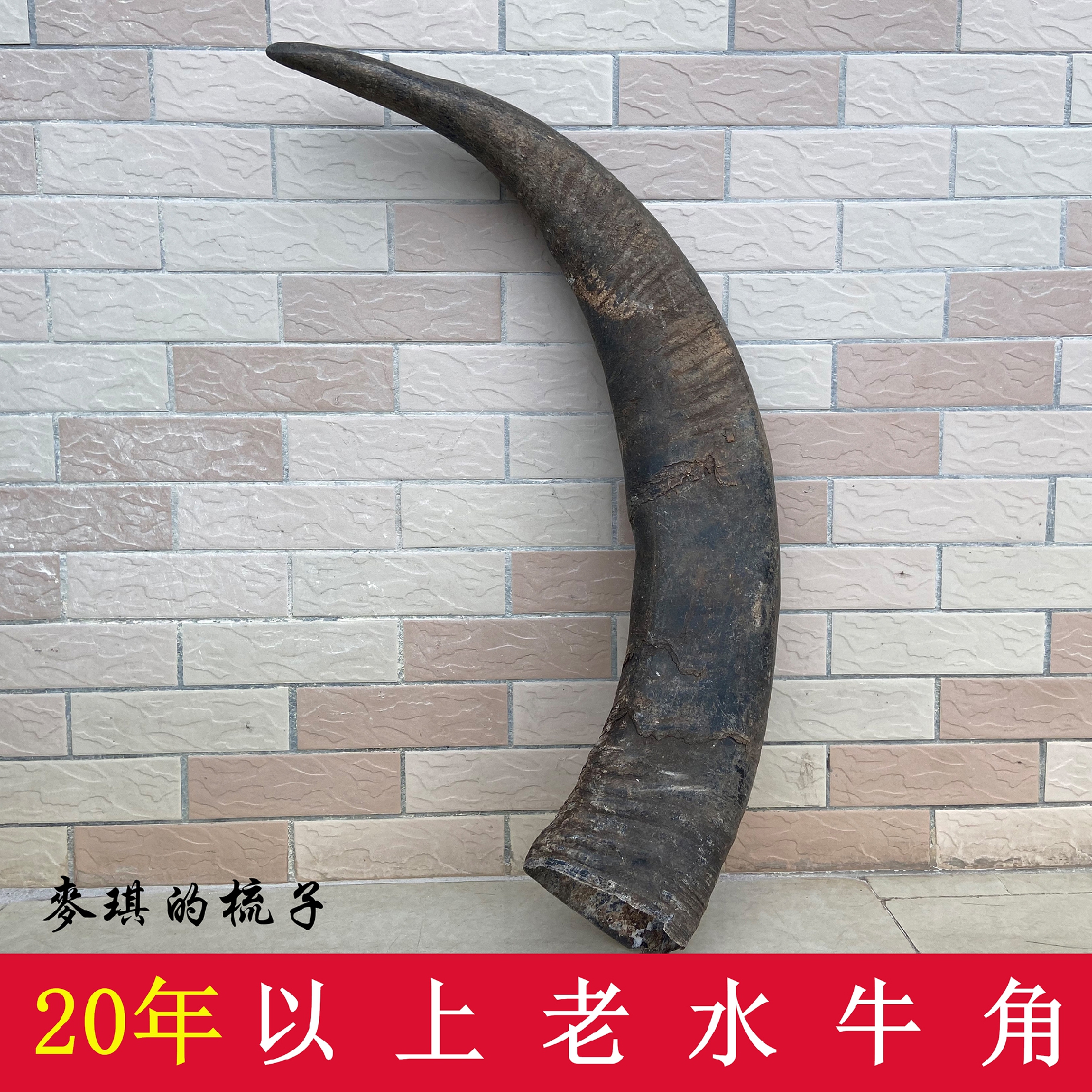 Horn raw material natural old black buffalo horn whole corner super large raw material collection ornaments