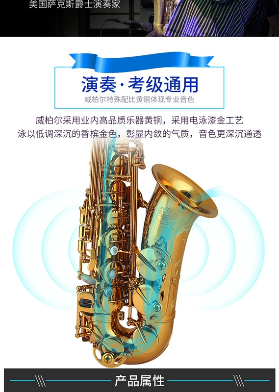 Weber Sax Nhạc cụ cho người mới bắt đầu Chơi nhạc chất lượng cao Xuống E Điều chỉnh Saxophone Saxophone Champagne Vàng 803C - Nhạc cụ phương Tây