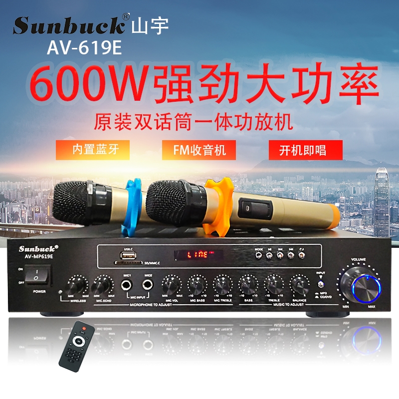 SUNBUCK home subwoofer amplifier karaoke wireless microphone high-power card Bluetooth amplifier audio