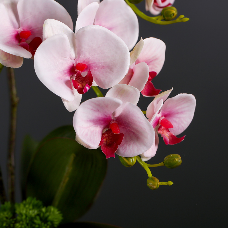 New Chinese style butterfly orchid simulation for furnishing articles home sitting room adornment flower on the table decoration ceramic flower pot