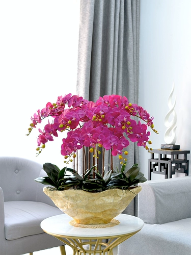 Высокий негабаритный Phalaenopsis Flower Set Floak Potting Hotel Grand Living Room