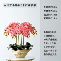 Сяоджин судовой бассейн 9 Zhuhong Set