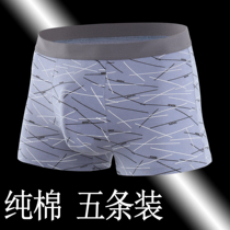 Day special mens underwear cotton cotton boxer middle waist young sexy fat big size loose breathable tide