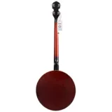 Этнические музыкальные инструменты для начинающих, наука и технология