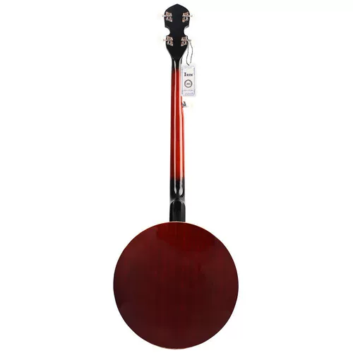 Этнические музыкальные инструменты для начинающих, наука и технология