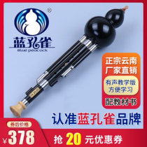 Blue Peacock Hulusi Ebony Student Adult Beginner Playing Type D C B Flat G F Yunnan National Instrument