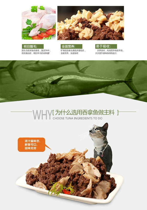 Thức ăn đóng hộp cho mèo Mafudi 170g * 12 món ăn nhẹ cho mèo mèo yêu mèo thức ăn ướt cá ngừ mèo con nhiều tỉnh hơn - Đồ ăn nhẹ cho mèo
