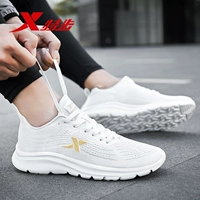 F Бежевая сетка 7585