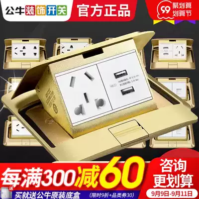 Bull anchor socket with usb charging port buffer damping champagne gold two three five hole power ground socket