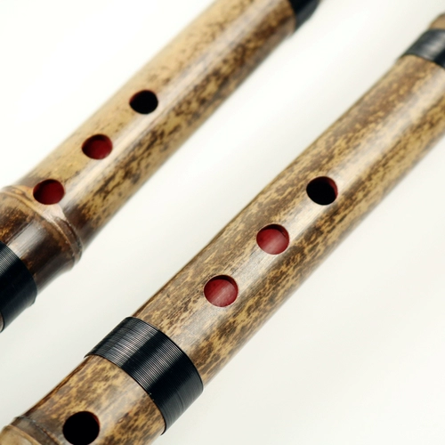 铜岭明珠 Xiaozi Instrument Ding Zilin восемь -дыра Xiao Xiao Professional Performance Paves G.