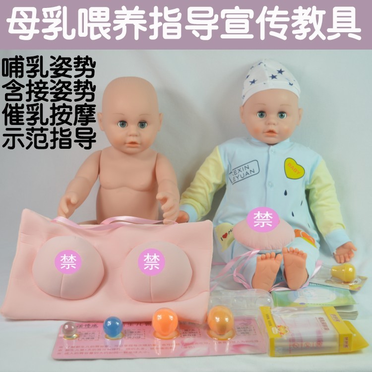孕妇学校母乳喂养宣传指导教具 爱婴医院哺乳指导宣传教学模型